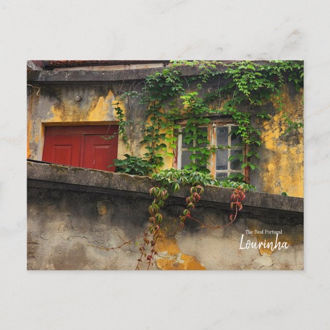 Überwuchert - Lourinha - Portugal Postkarte (Vorderseite)