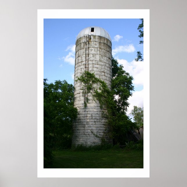 Überwuchertes Silo Poster (Vorne)