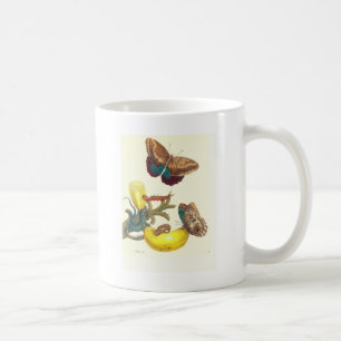 Überziehen Sie #23- Musa paradisiaca, Caligo Kaffeetasse