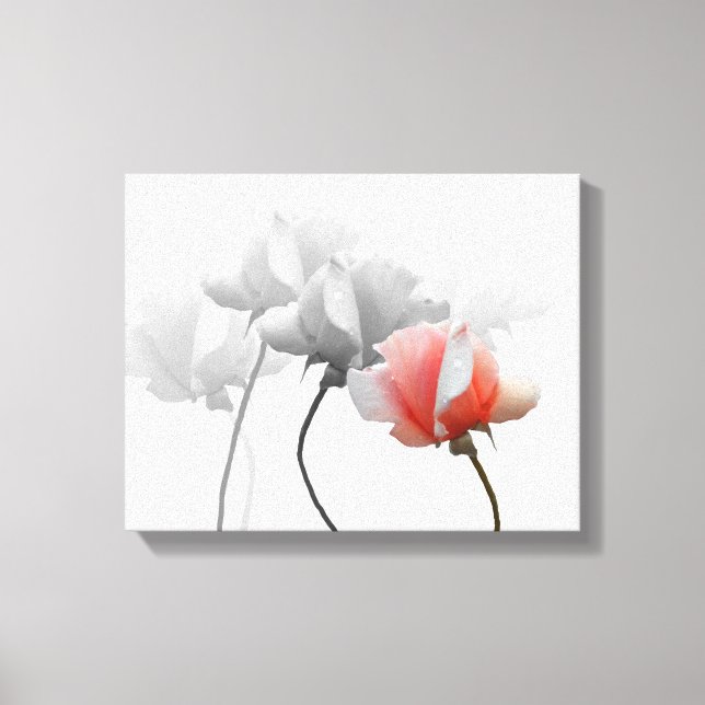 überzogene Leinwand mit Schwarz-Weiß-Rosen, eine r (Vorderseite)