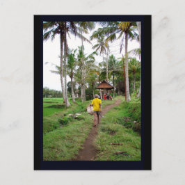 Ubud Bali Postkarte