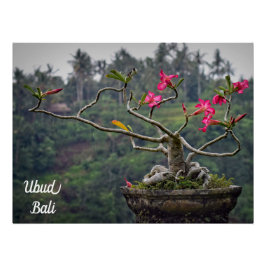 Ubud Travel, Bali Travel Poster