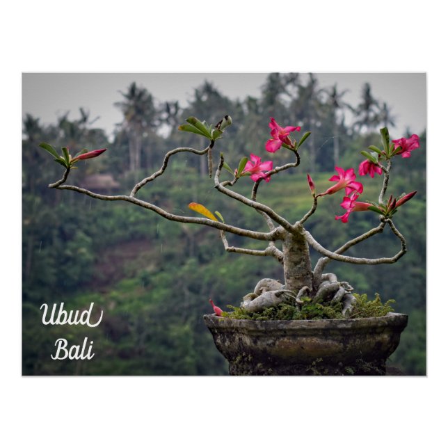 Ubud Travel, Bali Travel Poster (Vorderseite)