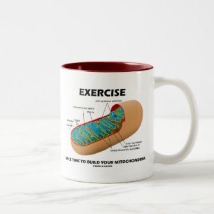 Übung nehmen Zeit, Ihre Mitochondrien zu errichte Zweifarbige Tasse