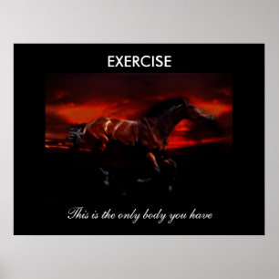 Übung Poster