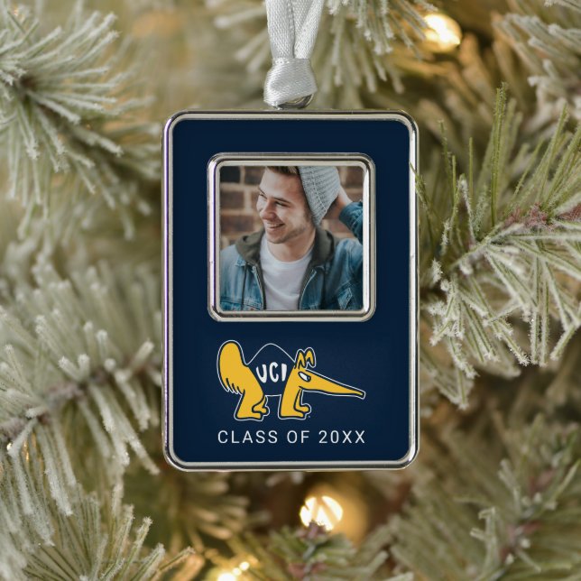 UC Irvine | UCI Anteaters Rahmen-Ornament Silber (Baum)