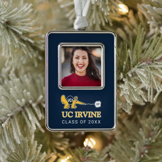 UC Irvine | UCI Anteaters Zot! Rahmen-Ornament Silber (Baum)
