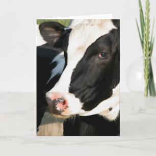 Udderly alles Gute zum Geburtstag Karte