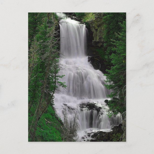 Udine Falls, Yellowstone Park, Wyoming Postcard Postkarte (Vorderseite)
