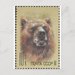 UdSSR ~ Briefmarke Russischer Bär Postkarte