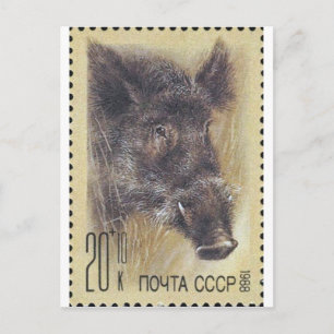 UdSSR ~ Briefmarke Russischer Wildschwein Postkarte