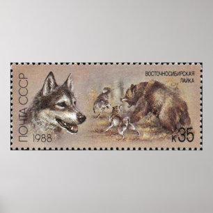 UDSSR ~ Briefmarken-Plakat-Jagd-Hund 05 Poster