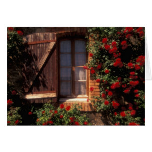 UE, France, Provence, Vaucluse, Apt. Maison