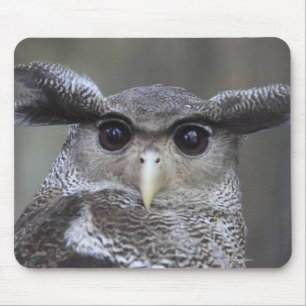 Ueno, Taitoh-ku, Tokyo, Japan Mousepad