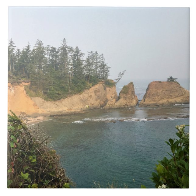 Ufer Acres Staat Park, Oregon Coast Fliese (Vorderseite)