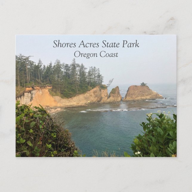 Ufer Acres Staat Park, Oregon Coast Postkarte (Vorderseite)