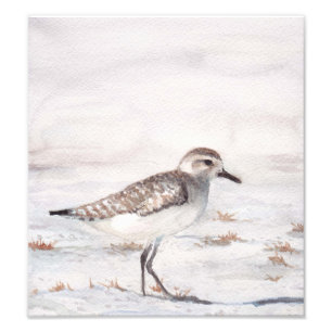 Ufer-Vogel-Kunst-Wiedergabe-Foto-Druck Fotodruck
