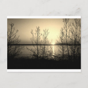 Uferbäume und Sonnenuntergang Postkarte