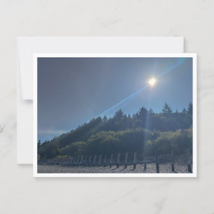 Uferbereich  postkarte