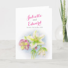 Uferfarben-Quellhellebohrungen gefaltet Programm