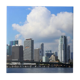 Ufergegendansicht von Miami Fliese