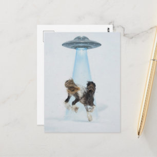 UFO entführt ein wunderschönes Pferd Postkarte