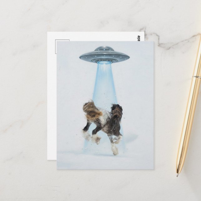 UFO entführt ein wunderschönes Pferd Postkarte (Vorderseite/Rückseite Beispiel)