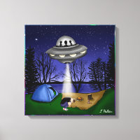 UFO Extraterrestrische Alien der Entführung