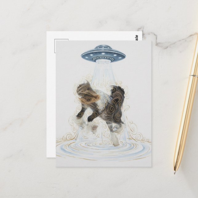 UFO picking up a Gorgeous Horse Postkarte (Vorderseite/Rückseite Beispiel)