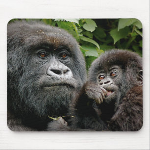 Ugandan-Mutter u. Baby-Gorilla Mousepad