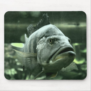 Ugly Aquarium Fish Mousepad