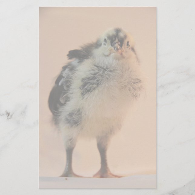 Ugly Chick Briefpapier (Vorderseite)