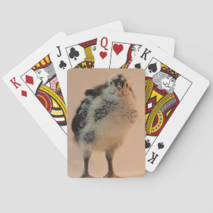 Ugly Chick Spielkarten