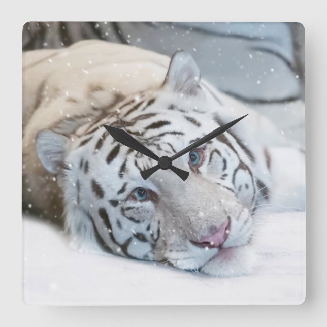 Uhr an der Wand des weißen Tigerplatzes (Vorderseite)