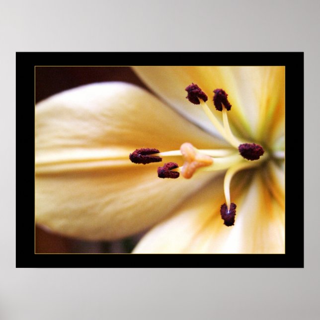Uhr Anhalten Blumenposter Poster (Vorne)