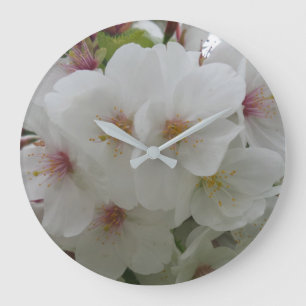 Uhr der weißen Blume