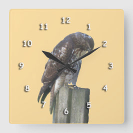 Uhr - Falke auf der Post