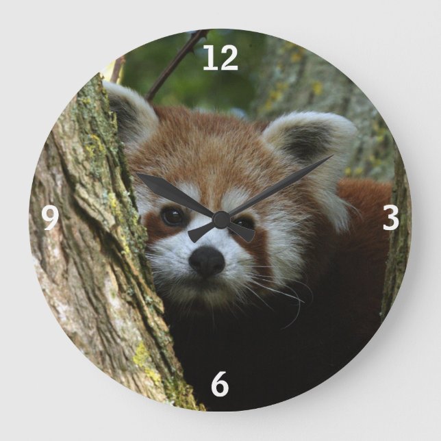 Uhr - roter Panda (Vorderseite)
