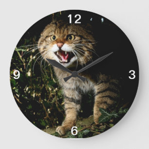 Uhr - schottische Wildkatze