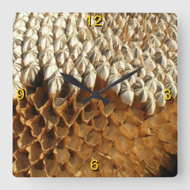Uhr - Sonnenblumenkerne (Vorderseite)