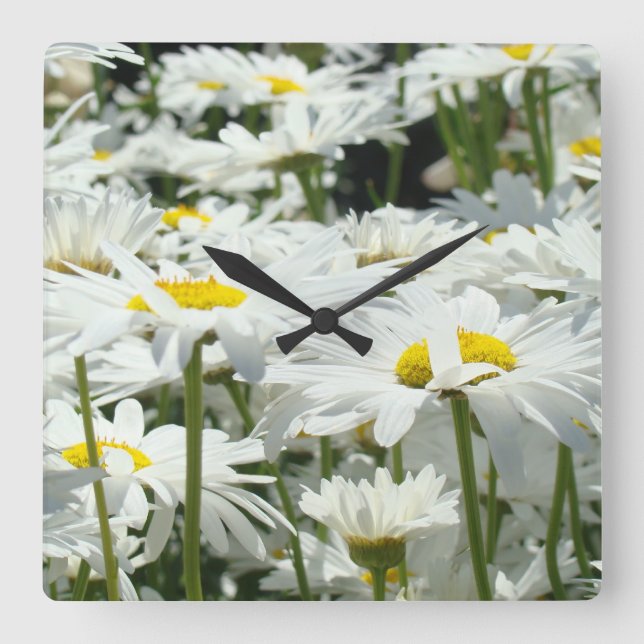 Uhren Wohngestaltung Designer Floral Daisy Blume (Vorderseite)