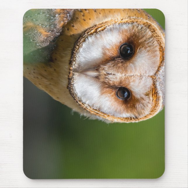 Uhu, Eule, Vogel Mousepad (Vorne)