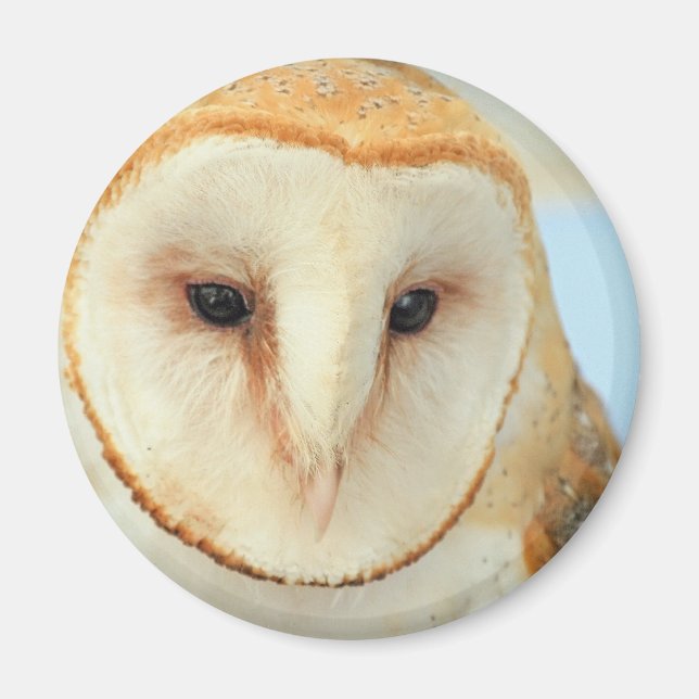 Uhu Magnet (Vorne)