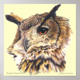 Uhu-Ornithologie-Fine-Art-Poster Poster