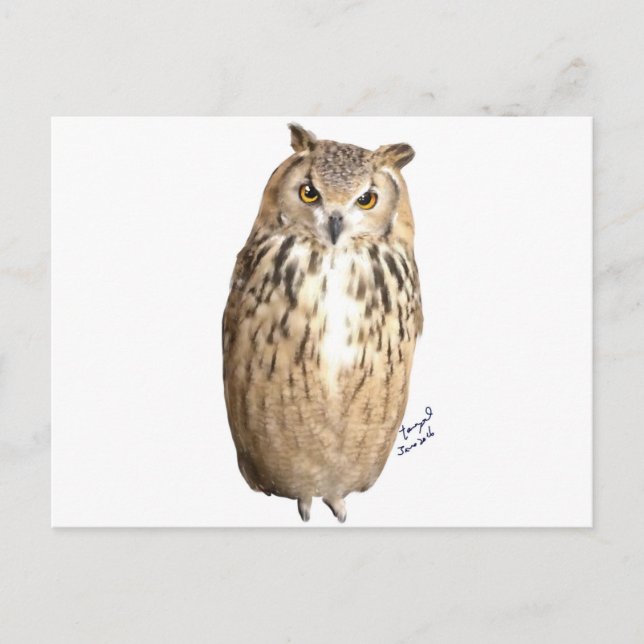 Uhu Postkarte (Vorderseite)