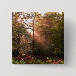 UK. Forest of Dean. Sonnenstrahl dringt in einen Button
