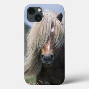 UK, Schottland, Shetland-Inseln, Shetlandpony Case-Mate iPhone Hülle