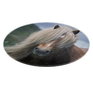 UK, Schottland, Shetland-Inseln, Shetlandpony Schneidebrett