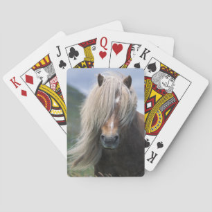 UK, Schottland, Shetland-Inseln, Shetlandpony Spielkarten