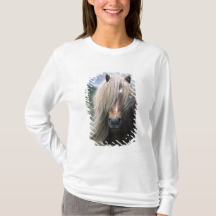 UK, Schottland, Shetland-Inseln, Shetlandpony T-Shirt